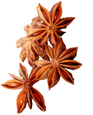 abido spices anise star